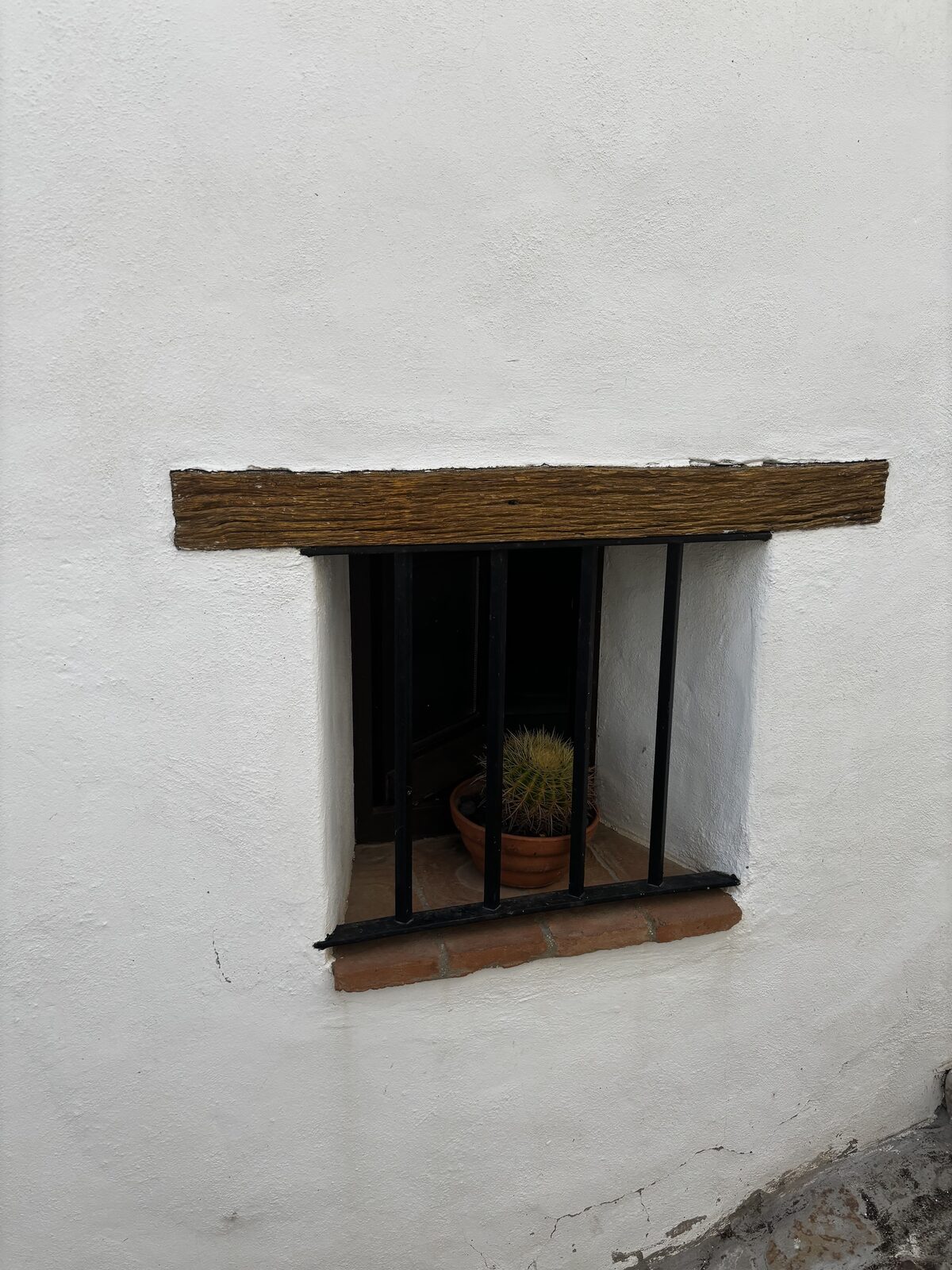Ventana con reja y un cactus, bajo una viga de madera
