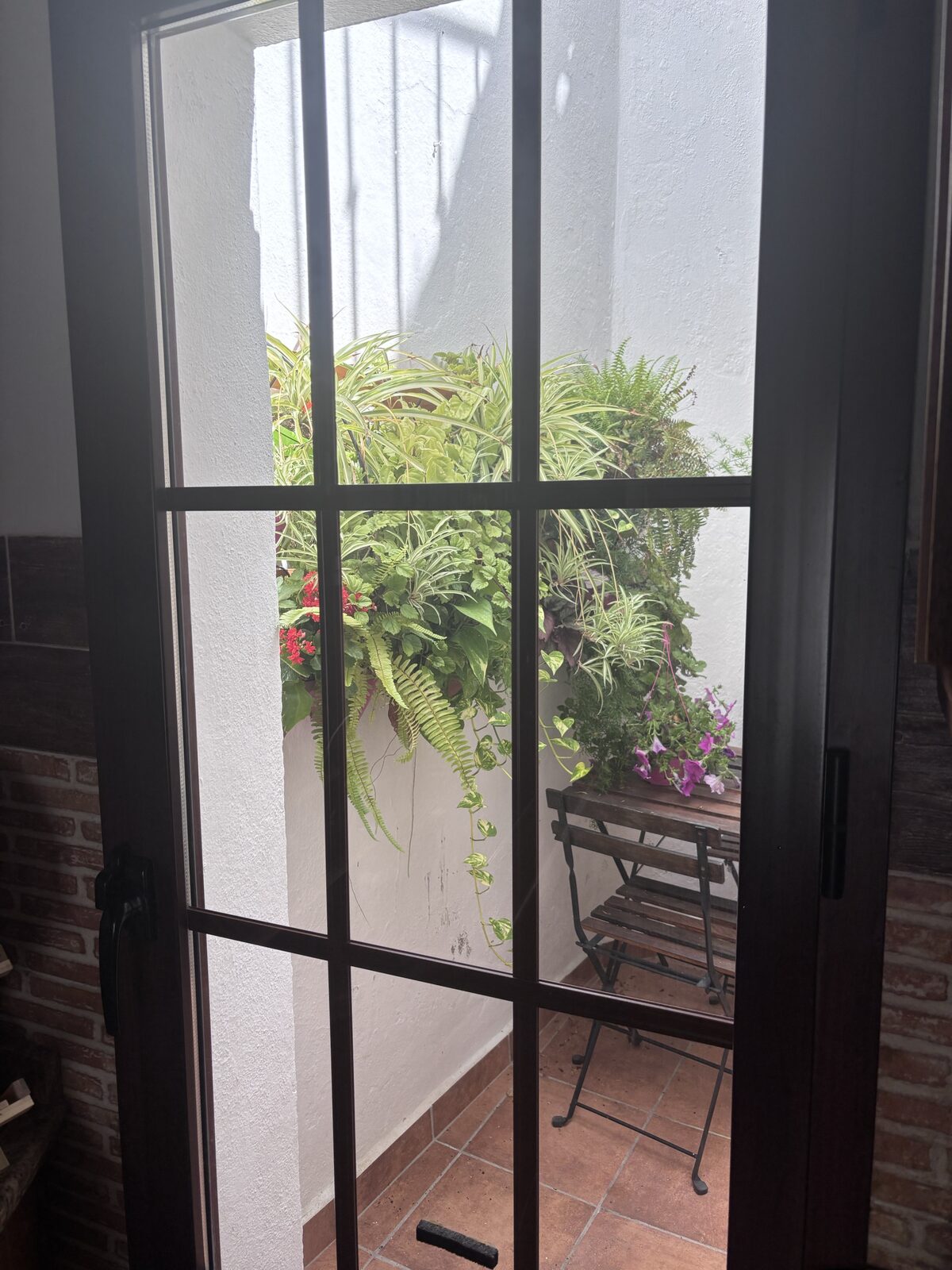Patio con plantas visto a través de una puerta acristalada